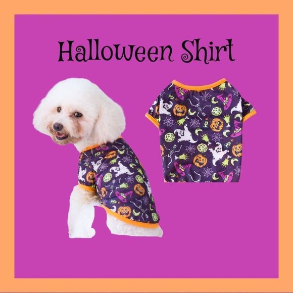 🎉HP🎉 LAST ONE!! NWT, Purple Halloween Tee for Small Fur Babies: small - Picture 1 of 2